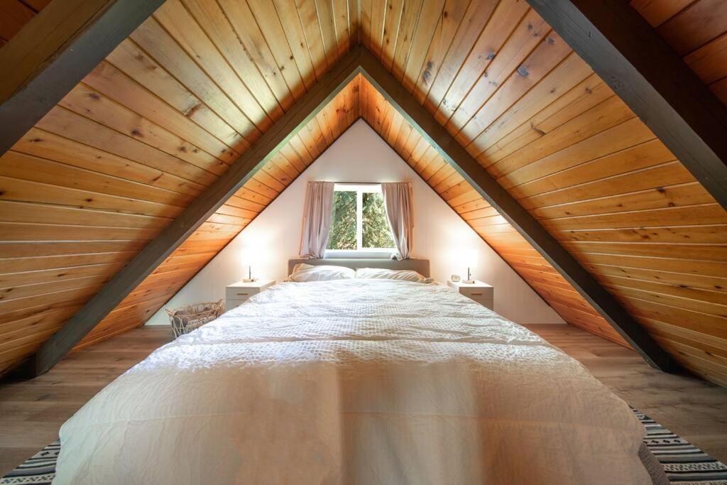 R & R Chalet At Mt. Rainier Ashford Esterno foto